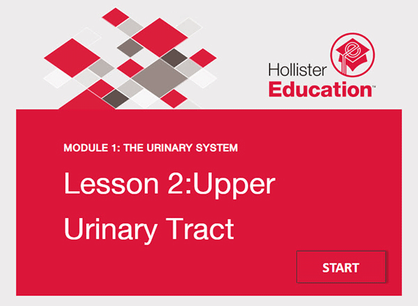Urinary System Lesson