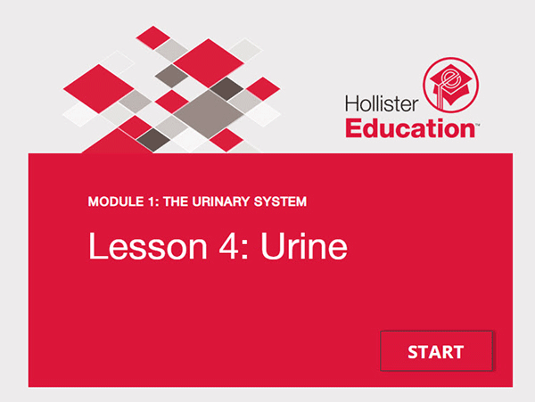 Urinary System Lesson